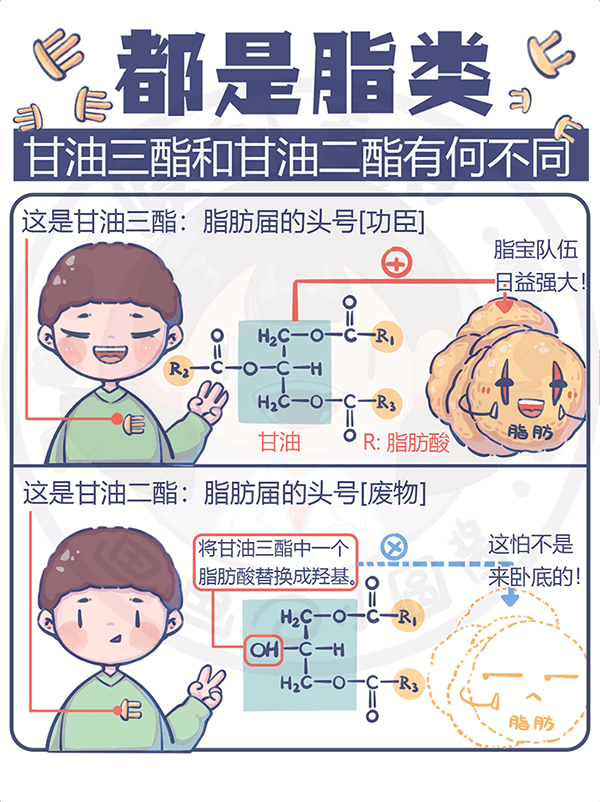 都是脂類甘油三酯和甘油二酯有何不同？